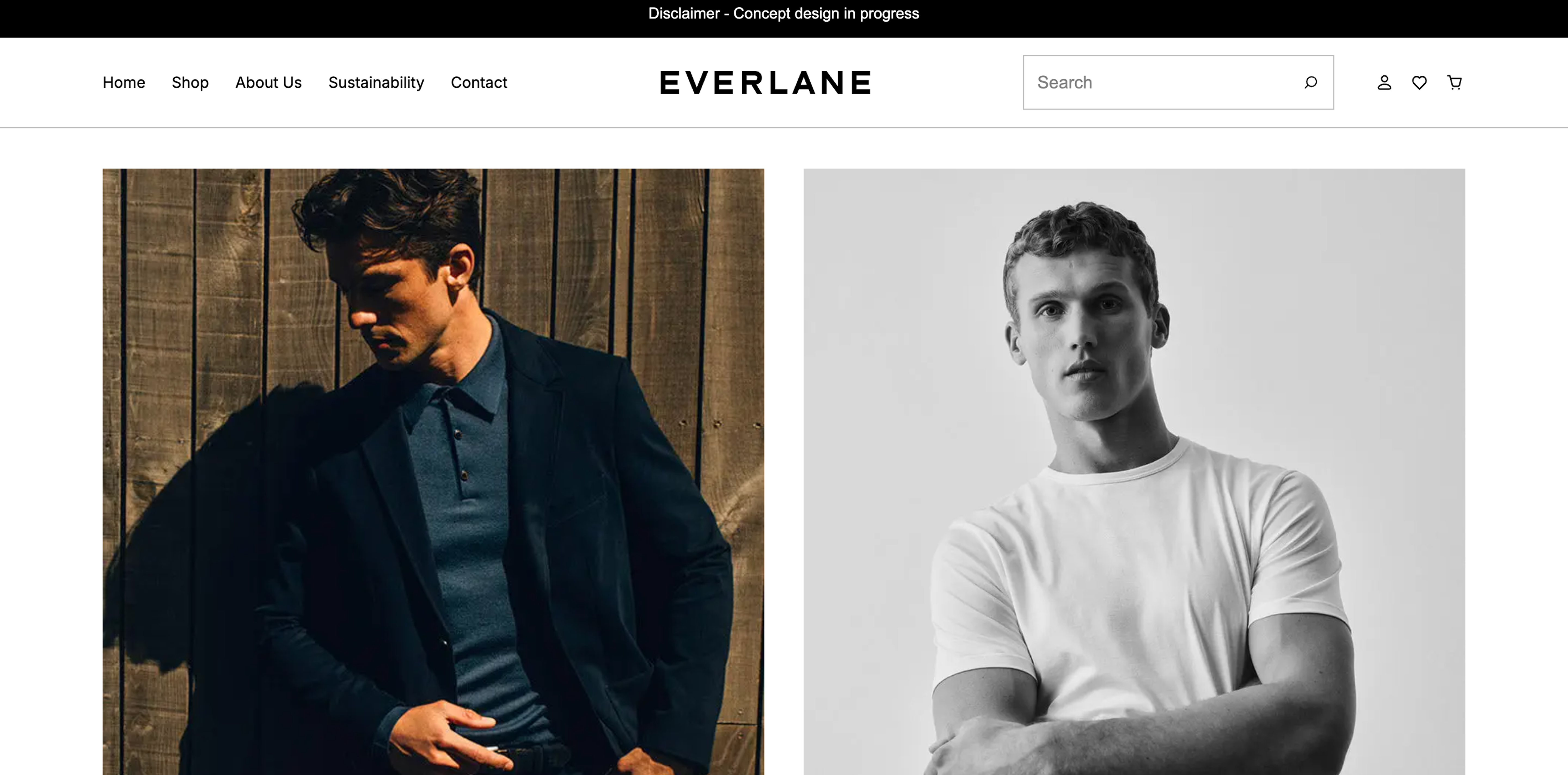 Everlanes spec redesigned website